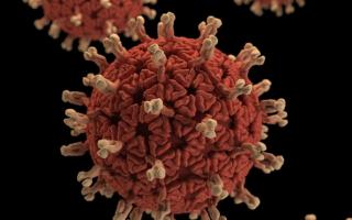 Voorzorgsmaatregelen coronavirus 